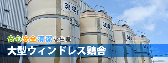 大型ウィンドレス鶏舎